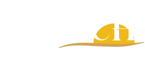 Logo Footer