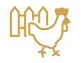 Icon 5